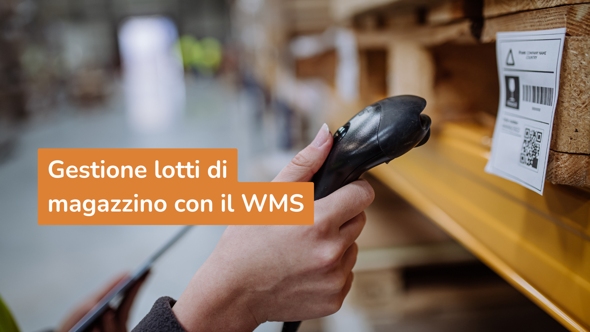 Gestione lotti di magazzino con il WMS